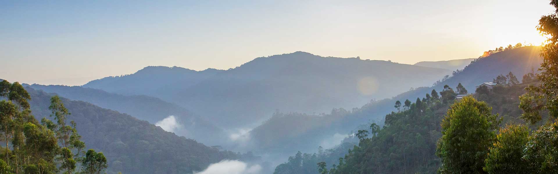 Bwindi Impenetrable National Park