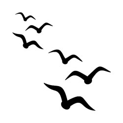 Birds - GTD Afrika Tours