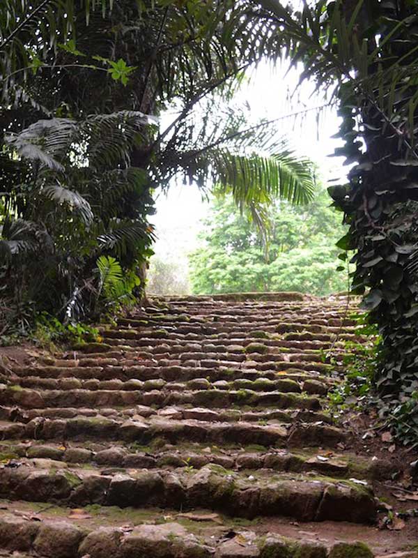 Entebbe Botanical Gardens