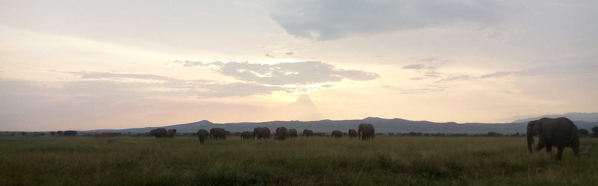 Kasenyi Plains - FTD Afrika Tours and Travel