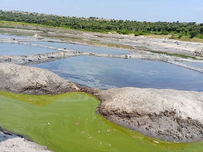 Kasenyi Plains – FTD Afrika Tours and Travel Kasenyi Plains - FTD Afrika Tours and Travel