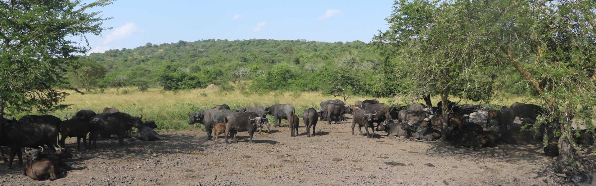 Lake Mburo National Park - GTD Tours and Travel