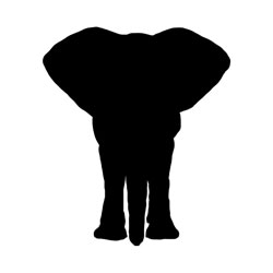 Elephant - GTD Afrika Tours