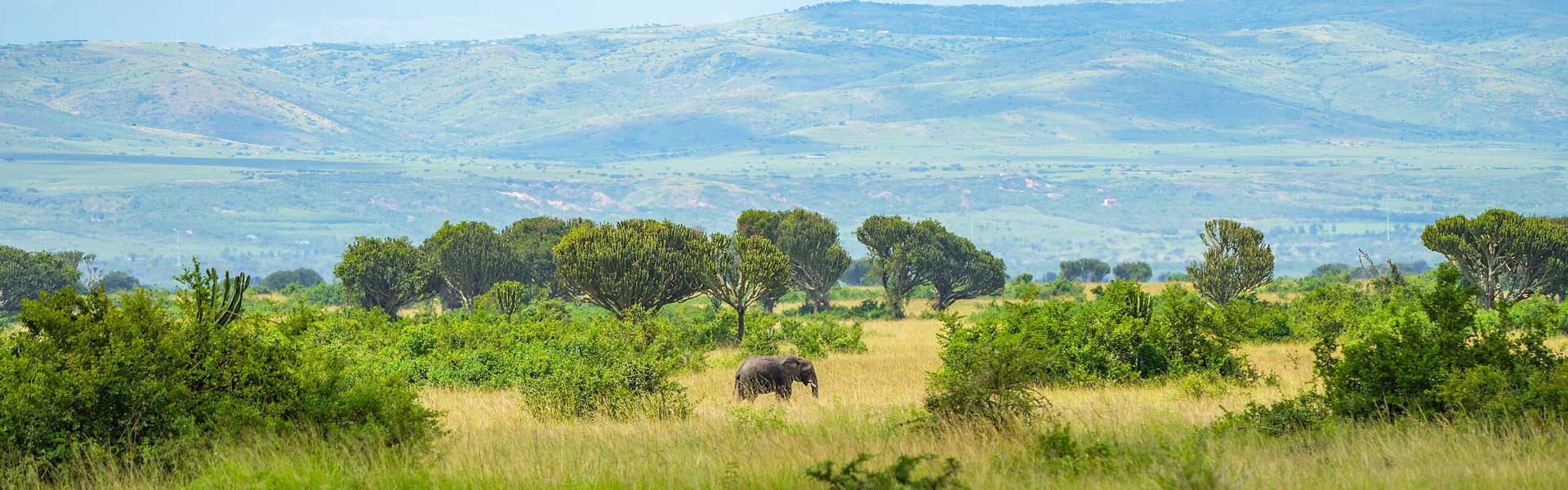 Queen Elizabeth National Park - GTD Afrika Tours & Travels