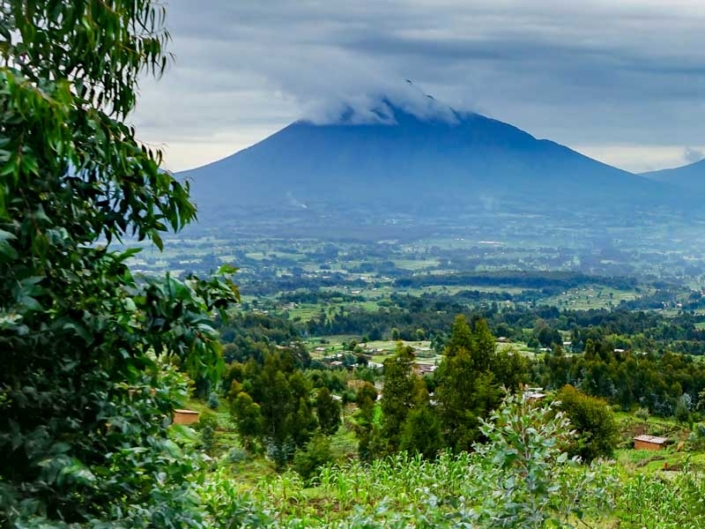 Volcanoes National Park, Rwanda – GPD Afrika Tours & Travel Volcanoes National Park, Rwanda - GPD Afrika Tours & Travel