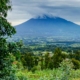 Volcanoes National Park, Rwanda - GPD Afrika Tours & Travel