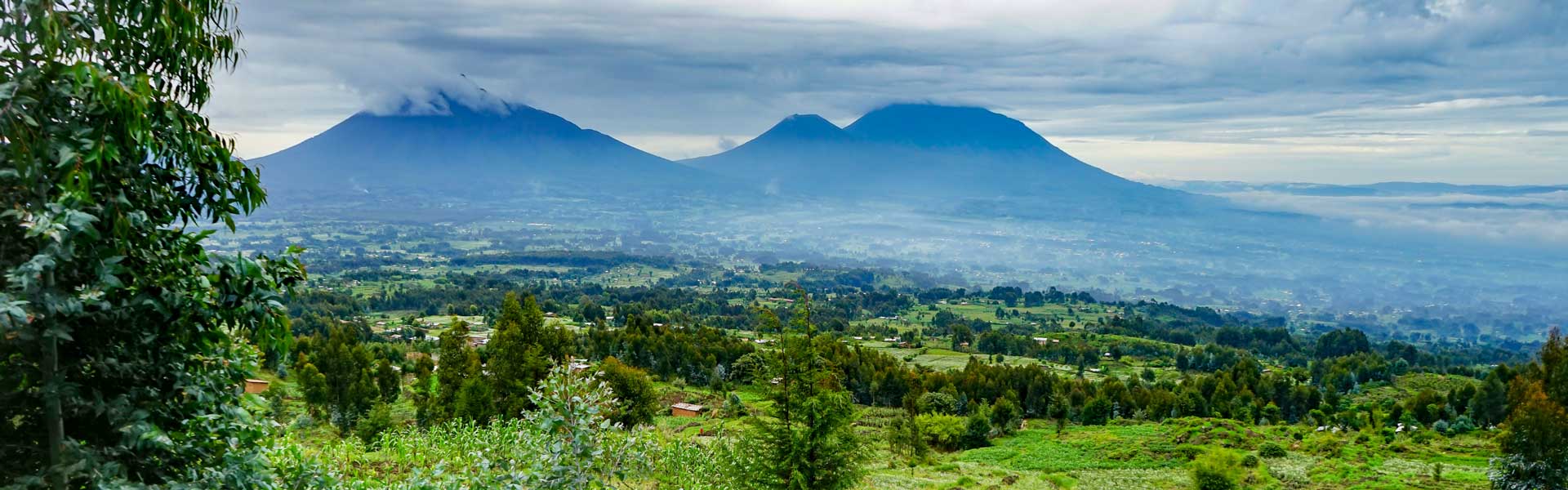 Volcanoes National Park, Rwanda - GPD Afrika Tours & Travel