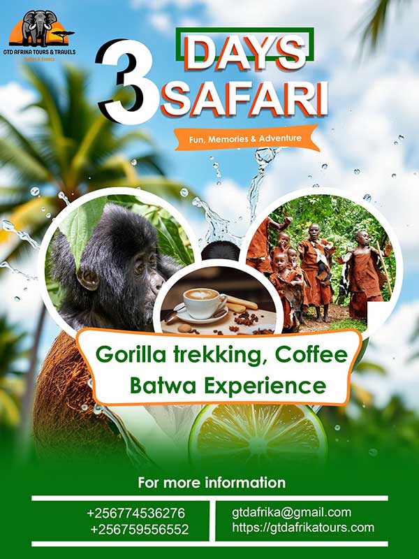 3 Day Safari